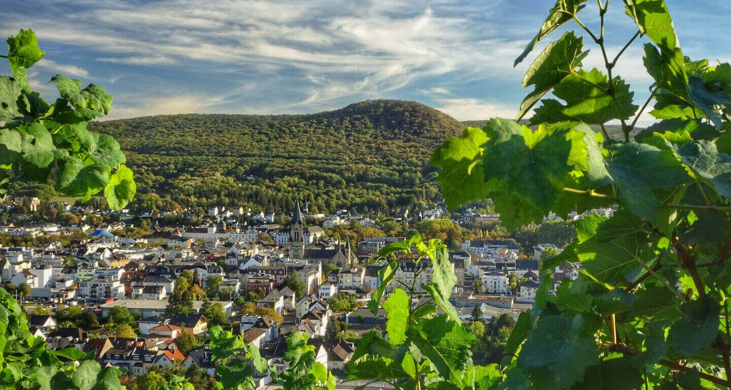 Blick vom Rotweinwanderweg hoch über Bad Neuenahr auf die Kurstadt
