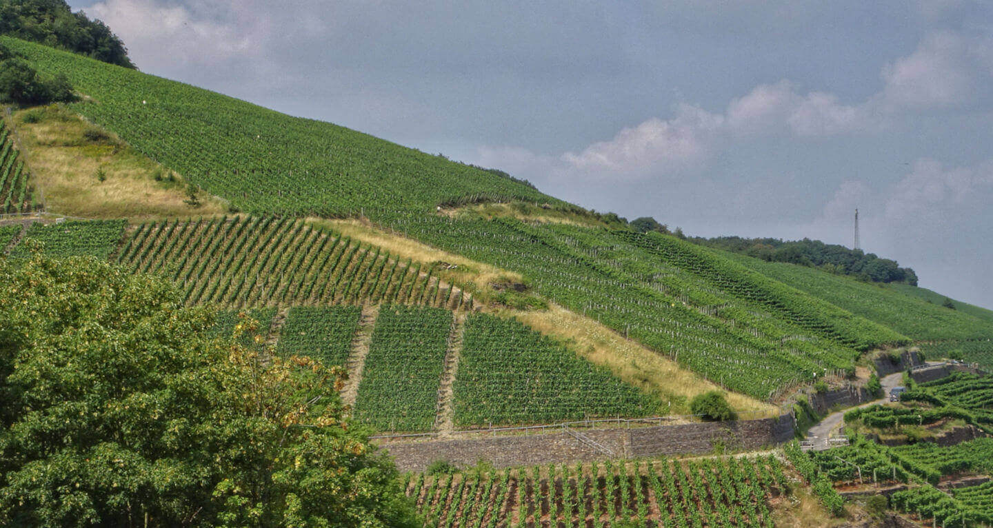 Weinberge an der Adenbach, hoch über Ahrweiler, mit Blick auf die Weinbergskapelle St. Urban