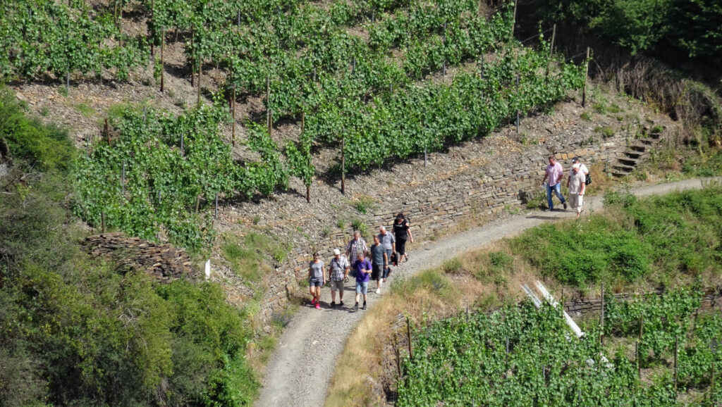 Was ist die beste Reisezeit fürs Ahrtal